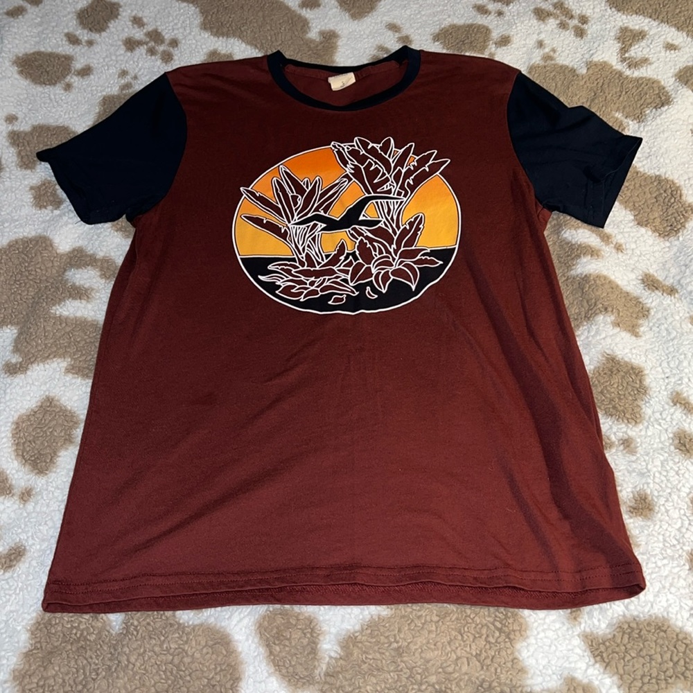 Burgundy, Hollister, tee-shirt, size small